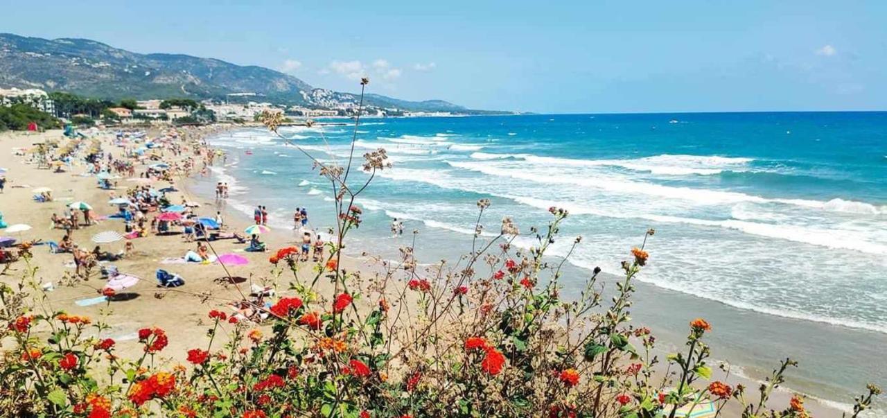 Villa Paula Alcossebre Mar Y Montana ภายนอก รูปภาพ